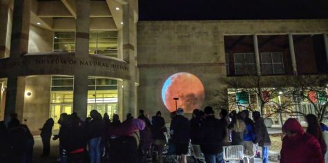 The display of the moon on the walls of the Sam Noble Museum of Natural History