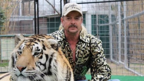 Tiger King is a true docuseries on Netflix about the famous zookeeper Joe Exotic.