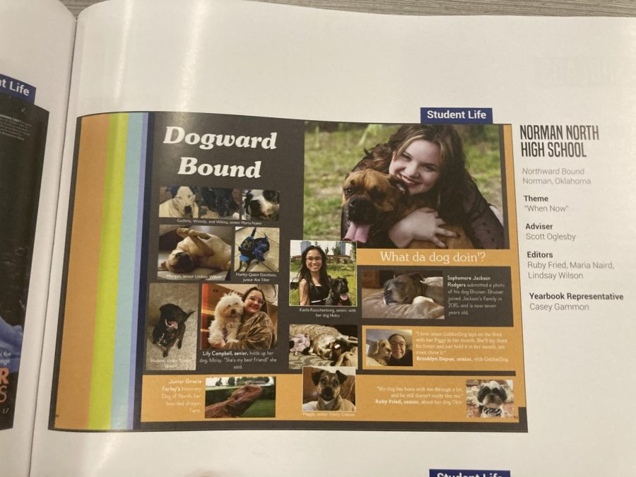 Dogward Bound as featured in Possibilities, volume 9. 