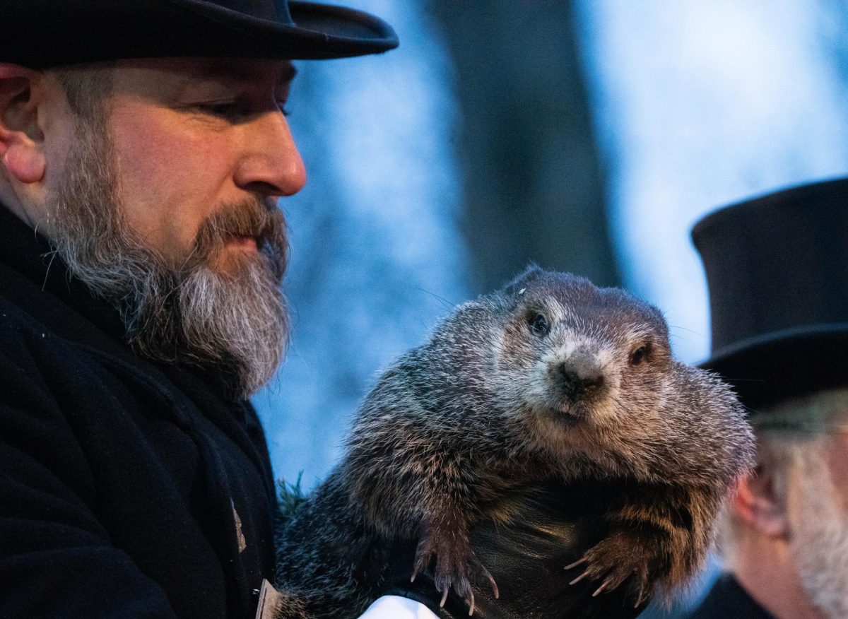 Punxsutawney+Phil+being+presented+at+the+2022+celebration+of+Groundhog+day.+%7C+CC+BY+2.0+DEED